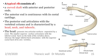 Separated Ribs Thoracic wall l4 dr kandil | PPTX