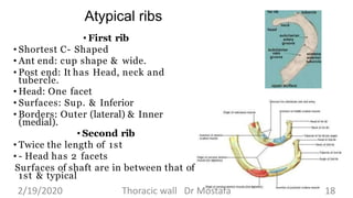 Thoracic wall l4 dr kandil | PPTX