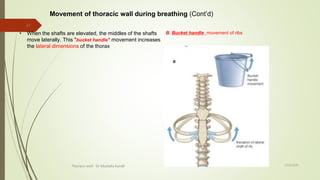Thoracic wall l4 dr kandil | PPTX