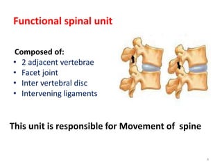 Functional spinal unit
Composed of:
• 2 adjacent vertebrae
• Facet joint
• Inter vertebral disc
• Intervening ligaments
4
This unit is responsible for Movement of spine
 