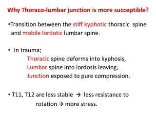 •Transition between the stiff kyphotic thoracic spine
and mobile lordotic lumbar spine.
• In trauma;
Thoracic spine deforms into kyphosis,
Lumbar spine into lordosis leaving,
Junction exposed to pure compression.
• T11, T12 are less stable  less resistance to
rotation  more stress.
Why Thoraco-lumbar junction is more succeptible?
 
