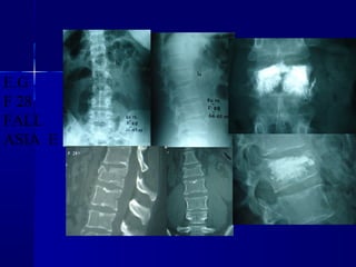 E.G 
F 28 
FALL 
ASIA E 
 