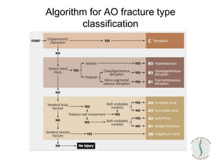 Algorithm for AO fracture type
classification
 