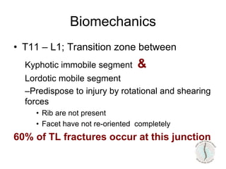• T11 – L1; Transition zone between
Kyphotic immobile segment &
Lordotic mobile segment
–Predispose to injury by rotational and shearing
forces
• Rib are not present
• Facet have not re-oriented completely
60% of TL fractures occur at this junction
Biomechanics
 