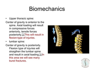 • Upper thoracic spine:
Center of gravity is anterior to the
spine. Axial loading will result
in compressive forces
anteriorly, tensile forces
posteriorly. This will result in
flexion-type of injuries.
• lumbar spine:
Center of gravity is posteriorly.
Flexion type of injuries will
straigthen the lumbar spine
and result in axial loading. In
this area we will see many
burst fractures.
Biomechanics
 