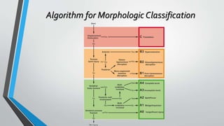 Thoracolumbar fractures classification | PPTX