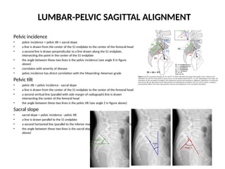 Normal Sacrum Alignment Thoracolumbar spine normal anatomy in human | PPTX