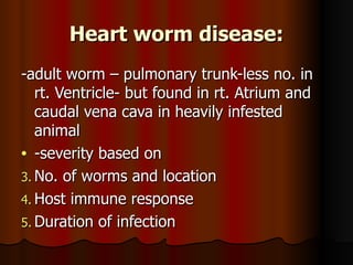 Heart worm disease:
-adult worm – pulmonary trunk-less no. in
   rt. Ventricle- but found in rt. Atrium and
   caudal vena cava in heavily infested
   animal
• -severity based on
3. No. of worms and location
4. Host immune response
5. Duration of infection
 