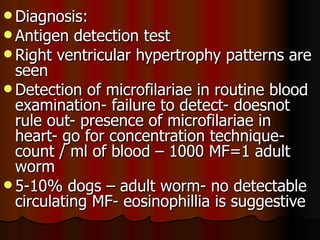  Diagnosis:
 Antigen   detection test
 Right ventricular hypertrophy patterns are
  seen
 Detection of microfilariae in routine blood
  examination- failure to detect- doesnot
  rule out- presence of microfilariae in
  heart- go for concentration technique-
  count / ml of blood – 1000 MF=1 adult
  worm
 5-10% dogs – adult worm- no detectable
  circulating MF- eosinophillia is suggestive
 