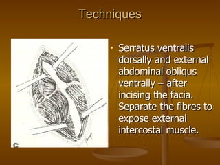 Techniques

     •   Serratus ventralis
         dorsally and external
         abdominal obliqus
         ventrally – after
         incising the facia.
         Separate the fibres to
         expose external
         intercostal muscle.
 