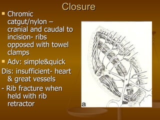 Closure
 Chromic
  catgut/nylon –
  cranial and caudal to
  incision- ribs
  opposed with towel
  clamps
 Adv: simple&quick

Dis: insufficient- heart
  & great vessels
- Rib fracture when
  held with rib
  retractor
 