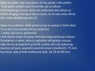 Atlas je pršljen koji nosi glavu, te mu otuda i ime potiče.
To je jedini pršljen koji nema telo, jer je tokom
embrionalnog razvoja došlo do sažimanja tela atlasa sa
telom drugog vratnog pršljena (axis), te se zato atlas obrće
oko svog izdubljenog tela.[1]
Atlas ima približno oblik prstena koji se sastoji iz četiri dela.
To su dva luka prednji (arcus anterior)
i zadnji luk (arcus posterior)
i dve bočne mase (massae laterales) koje povezuju lukove.
Posmatran u celini, atlas je spljošten od spreda unazad,
tako da mu je poprečni prečnik znatno veći od uzdužnog.
Zavisno od pola, poprečni prečnik iznosi između 65 i 75 mm
kod žena, dok je kod muškaraca duži, od 70 do 90 mm.
 