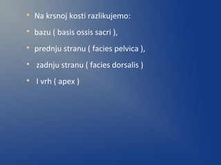
Na krsnoj kosti razlikujemo:

bazu ( basis ossis sacri ),

prednju stranu ( facies pelvica ),

zadnju stranu ( facies dorsalis )

I vrh ( apex )
 