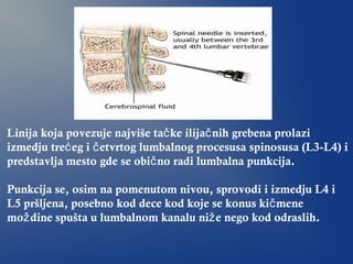 Linija koja povezuje najviše ta ke ilija nih grebena prolazič č
izmedju tre eg i etvrtog lumbalnog procesusa spinosusa (L3-L4) ić č
predstavlja mesto gde se obi no radi lumbalna punkcija.č
Punkcija se, osim na pomenutom nivou, sprovodi i izmedju L4 i
L5 pršljena, posebno kod dece kod koje se konus ki meneč
mo dine spušta u lumbalnom kanalu ni e nego kod odraslih.ž ž
 