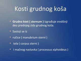 Kosti grudnog koša

Grudna kost ( sternum ) izgrađuje središnji
deo prednjeg zida grudnog koša.

Sastoji se iz

ručice ( manubrium sterni )

tela ( corpus sterni )

I mačnog nastavka ( processus xiphoideus )
 