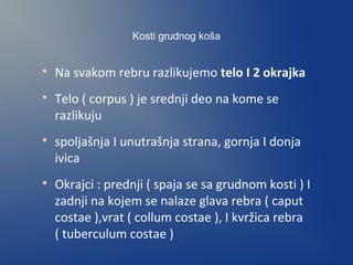 Kosti grudnog koša

Na svakom rebru razlikujemo telo I 2 okrajka

Telo ( corpus ) je srednji deo na kome se
razlikuju

spoljašnja I unutrašnja strana, gornja I donja
ivica

Okrajci : prednji ( spaja se sa grudnom kosti ) I
zadnji na kojem se nalaze glava rebra ( caput
costae ),vrat ( collum costae ), I kvržica rebra
( tuberculum costae )
 