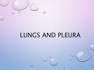LEFT LUNG
 
