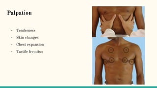 Physical Examination of Thorax | PDF