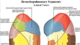 Thorax-XRAY and CT
