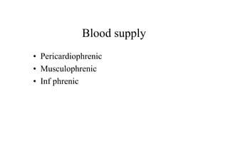 Blood supply
• Pericardiophrenic
• Musculophrenic
• Inf phrenic
 