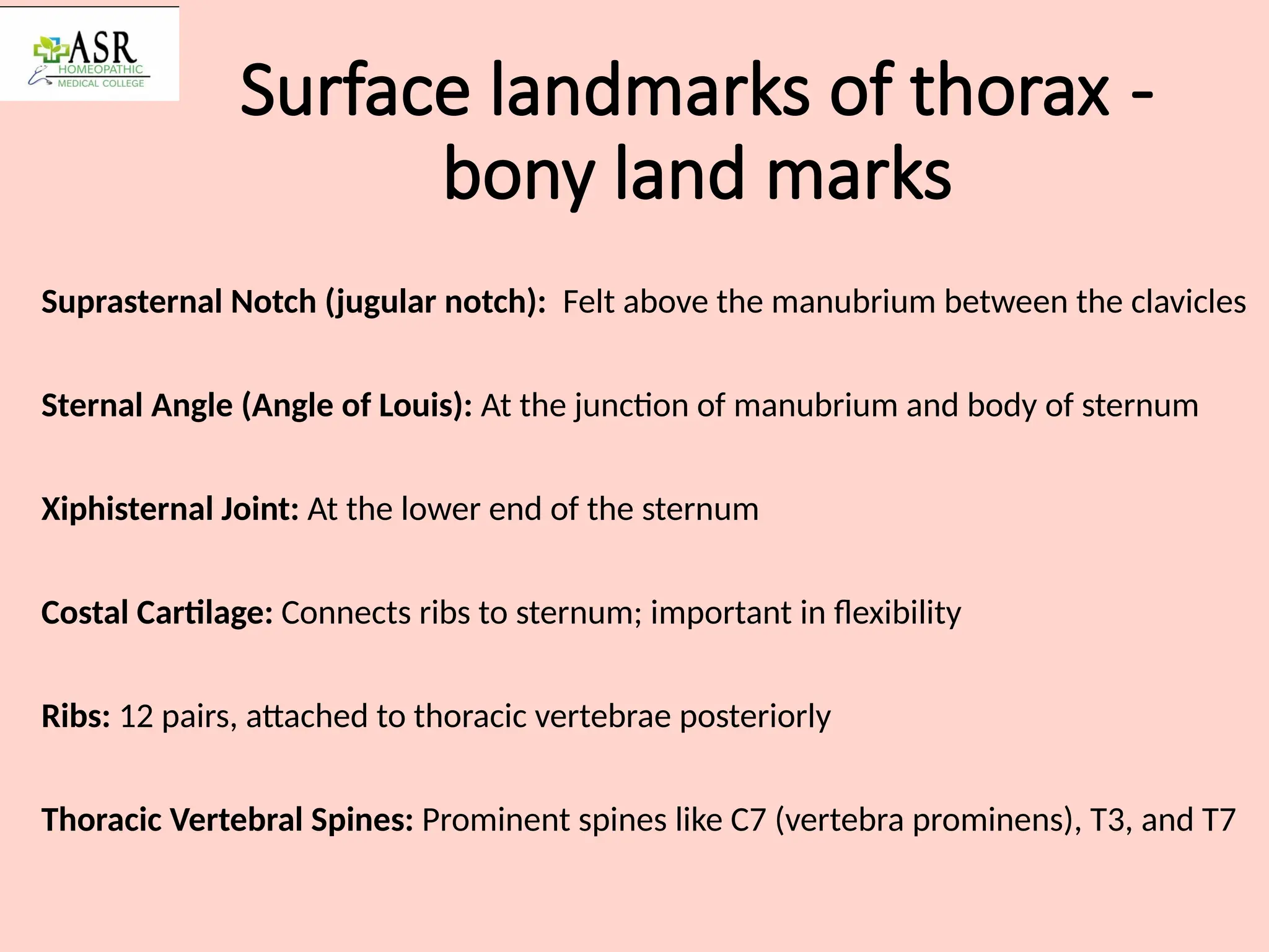 Surface landmarks of thorax and skeleton formation of thorax | PPTX