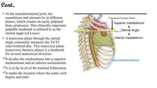 Introduction to THorax cavity and mediastinum | PPTX