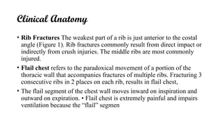 Cursh Rib Introduction to THorax cavity and mediastinum | PPTX