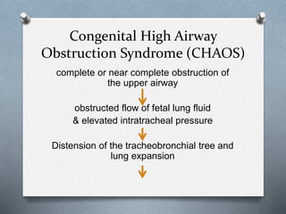 Congenital High Airway
Obstruction Syndrome (CHAOS)
complete or near complete obstruction of
the upper airway
obstructed flow of fetal lung fluid
& elevated intratracheal pressure
Distension of the tracheobronchial tree and
lung expansion
 