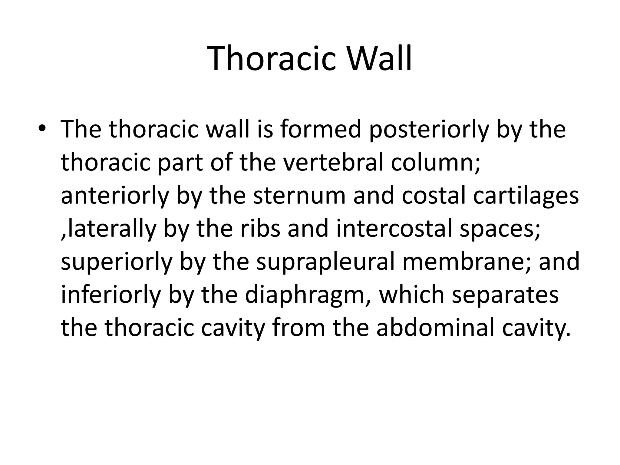 Thorax second part anatomy | PPTX