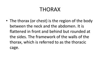 THORAX
• The thorax (or chest) is the region of the body
between the neck and the abdomen. It is
flattened in front and behind but rounded at
the sides. The framework of the walls of the
thorax, which is referred to as the thoracic
cage.
 