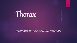 Thorax 
MUHAMMAD RAMZAN UL REHMAN 
1 
 