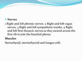  Nerves
1 Right and left phrenic nerves. 2 Right and left vagus
nerves. 3 Right and left sympathetic trunks. 4 Right
and left first thoracic nerves as they ascend across the
first rib to join the brachial plexus.
Muscles
Sternohyoid, sternothyroid and longus colli.
 