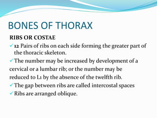 BONES OF THORAX
RIBS OR COSTAE
12 Pairs of ribs on each side forming the greater part of
the thoracic skeleton.
The number may be increased by development of a
cervical or a lumbar rib; or the number may be
reduced to L1 by the absence of the twelfth rib.
The gap between ribs are called intercostal spaces
Ribs are arranged oblique.
 