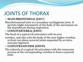 JOINTS OF THORAX
 MANUBRIOSTERNAL JOINT:
Manubriosternal joint is a secondary cartilaginous joint. It
permits slight movements of the body of the sternumon on
the manubrium during respiration.
 COSTOVERTEBRAL JOINT:
The head of a typical rib articulates with its own
vertebra, and also with the body of the next higher vertebra,
to form two plane synovial joints separated by an intra-
articular ligament.
 COSTOTRANSVERSE JOINTS:
The tubercle of a typical rib articulates with the transverse
process of the corresponding vertebra to form a synovial
joint.
 