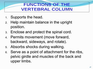 1. Supports the head.
2. Help maintain balance in the upright
position.
3. Enclose and protect the spinal cord.
4. Permits movement (move forward,
backward, sideways, and rotate).
5. Absorbs shocks during walking.
6. Serve as a point of attachment for the ribs,
pelvic girdle and muscles of the back and
upper limbs.
46
 