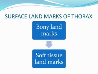 SURFACE LAND MARKS OF THORAX
Bony land
marks
Soft tissue
land marks
 