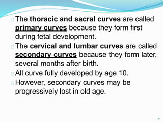 The thoracic and sacral curves are called
primary curves because they form first
during fetal development.
The cervical and lumbar curves are called
secondary curves because they form later,
several months after birth.
All curve fully developed by age 10.
However, secondary curves may be
progressively lost in old age.
51
 