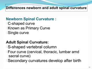 Newborn Spinal Curvature :
52
C-shaped curve
Known as Primary Curve
Single curve
Adult Spinal Curvature:
S-shaped vertebral column
Four curve (cervical, thoracic, lumbar amd
sacral curve)
Secondary curvatures develop after birth
Differences newborn and adult spinal curvature
 
