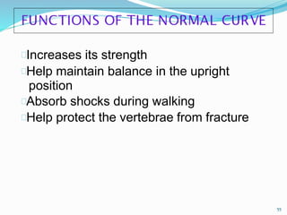 Increases its strength
Help maintain balance in the upright
position
Absorb shocks during walking
Help protect the vertebrae from fracture
55
 