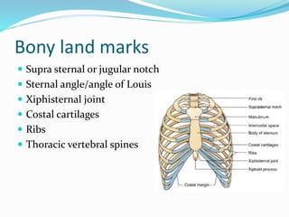 Bony land marks
 Supra sternal or jugular notch
 Sternal angle/angle of Louis
 Xiphisternal joint
 Costal cartilages
 Ribs
 Thoracic vertebral spines
 