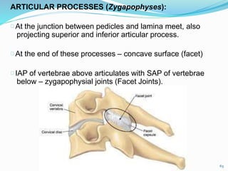 ARTICULAR PROCESSES (Zygapophyses):
At the junction between pedicles and lamina meet, also
projecting superior and inferior articular process.
At the end of these processes – concave surface (facet)
IAP of vertebrae above articulates with SAP of vertebrae
below – zygapophysial joints (Facet Joints).
63
 