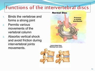 1. Binds the vertebrae and
forms a strong joint
2. Permits various
movements of the
vertebral column
3. Absorbs vertical shock
and avoid friction during
intervertebral joints
movements.
67
 