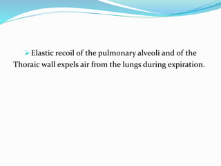 Elastic recoil of the pulmonary alveoli and of the
Thoraic wall expels air from the lungs during expiration.
 