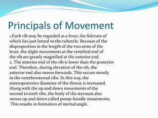 Principals of Movement
1.Each rib may be regarded as a lever, the fulcrum of
which lies just lateral to the tubercle. Because of the
disproportion in the length of the two arms of the
lever, the slight movements at the vertebral end of
the rib are greatly magnified at the anterior end.
2. The anterior end of the rib is lower than the posterior
end. Therefore, during elevation of the rib, the
anterior end also moves forwards. This occurs mostly
in the vertebrosternal ribs. In this way, the
anteroposterior diameter of the thorax is increased.
Along with the up and down movements of the
second to sixth ribs, the body of the sternum also
moves up and down called pump-handle moaements.
This results in formation of sternal angle.
 