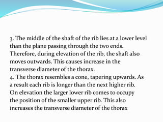 3. The middle of the shaft of the rib lies at a lower level
than the plane passing through the two ends.
Therefore, during elevation of the rib, the shaft also
moves outwards. This causes increase in the
transverse diameter of the thorax.
4. The thorax resembles a cone, tapering upwards. As
a result each rib is longer than the next higher rib.
On elevation the larger lower rib comes to occupy
the position of the smaller upper rib. This also
increases the transverse diameter of the thorax
 