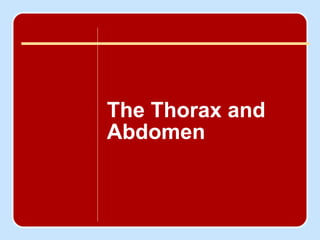 chapter  20 ,[object Object],Author name here for Edited books The Thorax and Abdomen 