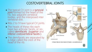 COSTOVERTEBRAL JOINTS
 The typical CV joint is a synovial
joint formed by the head of the
rib, two adjacent vertebral
bodies, and the interposed inter
vertebral disk.
 Ribs 2 to 9 have typical CV joints.
 The heads of these ribs each
have two articular facets, or so-
called demifacets (superior and
inferior costovertebral facets ).
 The demifacets are separated by
a ridge called the crest of the
head of the rib.
 