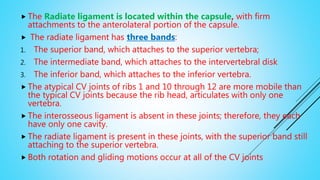  The Radiate ligament is located within the capsule, with firm
attachments to the anterolateral portion of the capsule.
 The radiate ligament has three bands:
1. The superior band, which attaches to the superior vertebra;
2. The intermediate band, which attaches to the intervertebral disk
3. The inferior band, which attaches to the inferior vertebra.
 The atypical CV joints of ribs 1 and 10 through 12 are more mobile than
the typical CV joints because the rib head, articulates with only one
vertebra.
 The interosseous ligament is absent in these joints; therefore, they each
have only one cavity.
 The radiate ligament is present in these joints, with the superior band still
attaching to the superior vertebra.
 Both rotation and gliding motions occur at all of the CV joints
 
