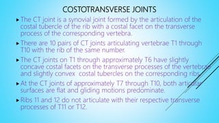 COSTOTRANSVERSE JOINTS
The CT joint is a synovial joint formed by the articulation of the
costal tubercle of the rib with a costal facet on the transverse
process of the corresponding vertebra.
There are 10 pairs of CT joints articulating vertebrae T1 through
T10 with the rib of the same number.
The CT joints on T1 through approximately T6 have slightly
concave costal facets on the transverse processes of the vertebrae
and slightly convex costal tubercles on the corresponding ribs.
At the CT joints of approximately T7 through T10, both articular
surfaces are flat and gliding motions predominate.
Ribs 11 and 12 do not articulate with their respective transverse
processes of T11 or T12.
 