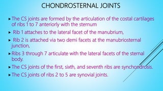 CHONDROSTERNAL JOINTS
The CS joints are formed by the articulation of the costal cartilages
of ribs 1 to 7 anteriorly with the sternum
 Rib 1 attaches to the lateral facet of the manubrium,
 Rib 2 is attached via two demi facets at the manubriosternal
junction,
Ribs 3 through 7 articulate with the lateral facets of the sternal
body.
The CS joints of the first, sixth, and seventh ribs are synchondrosis.
The CS joints of ribs 2 to 5 are synovial joints.
 
